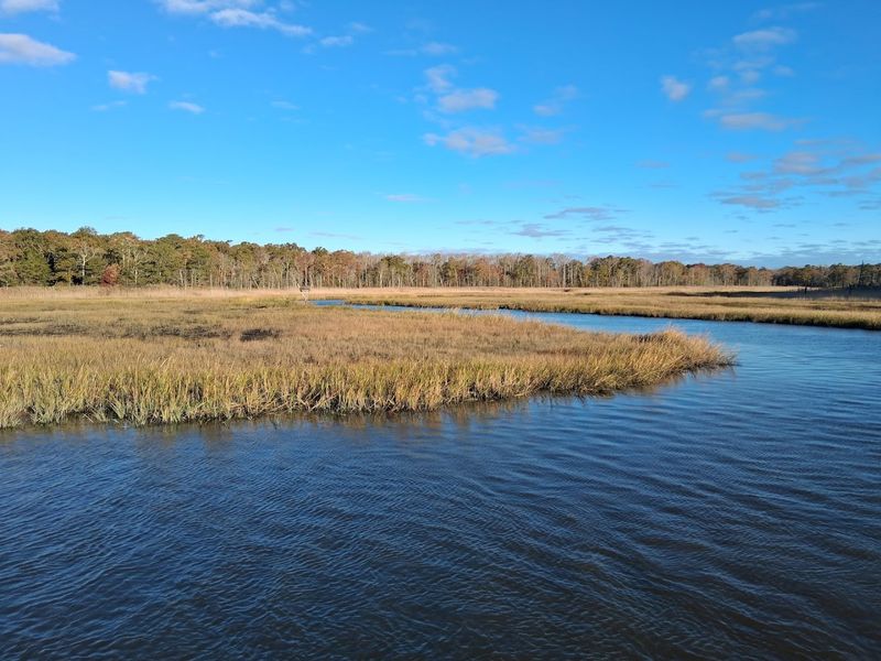 The Nature Conservancy's Delaware Bayshores Center Right On Site