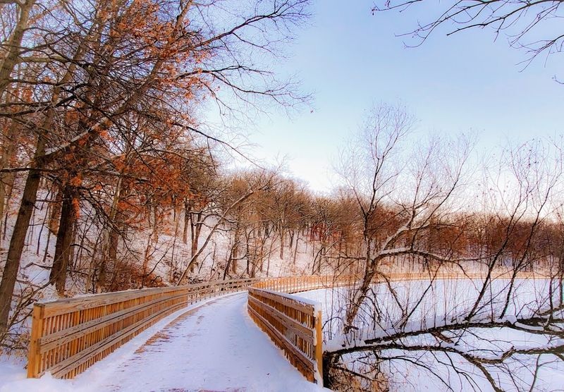 The Sound That Stops You Cold