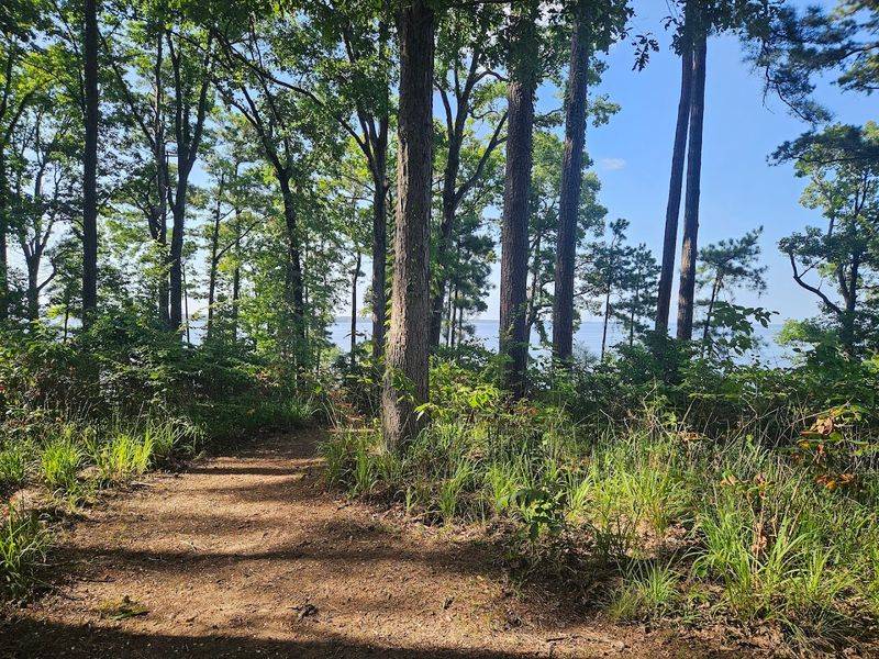 Five Trails That Let You Actually Breathe