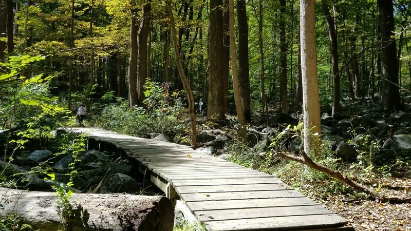 Conservation Efforts Keeping This Place Wild and Healthy