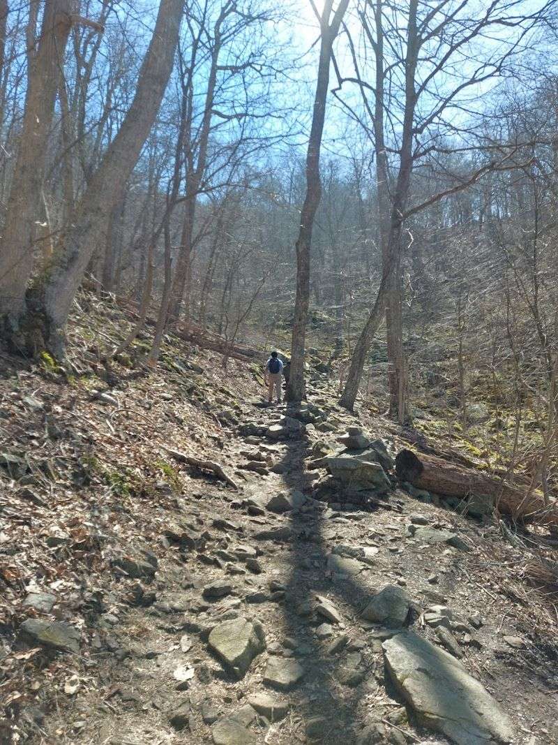 Best Time to Hike Sharp Top Mountain