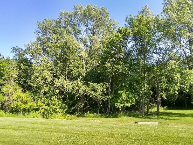 Softball Fields and Open Green Space
