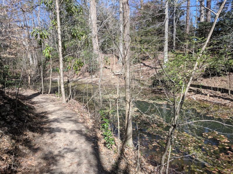 Scenic Strolls Around the Dell