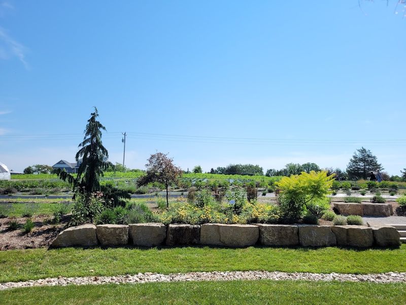 The Walking Trail Through the Property