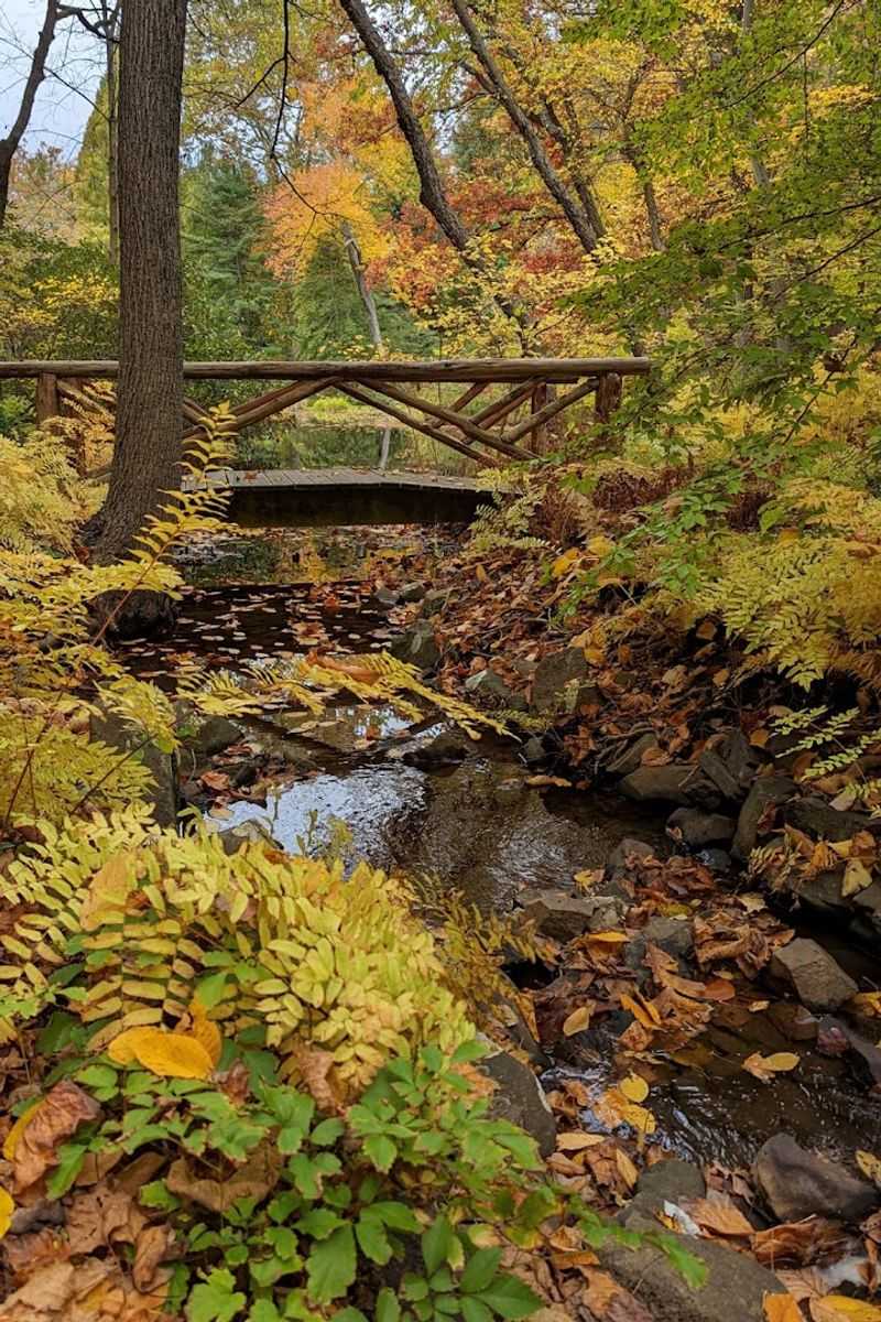 Streams and Bridges: The Little Crossings You Will Remember