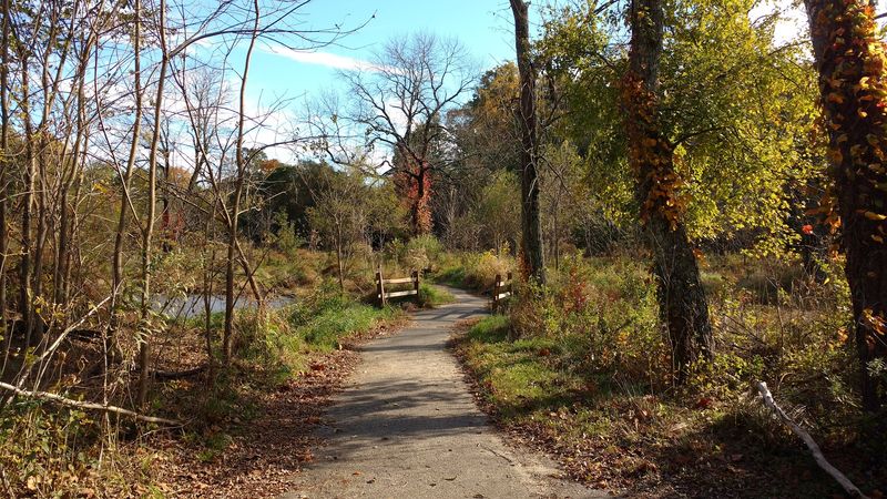 Perfect for All Ages and Fitness Levels