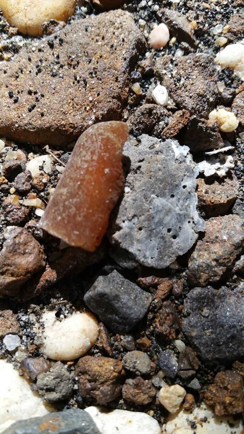 Best Times to Visit for the Most Fossils