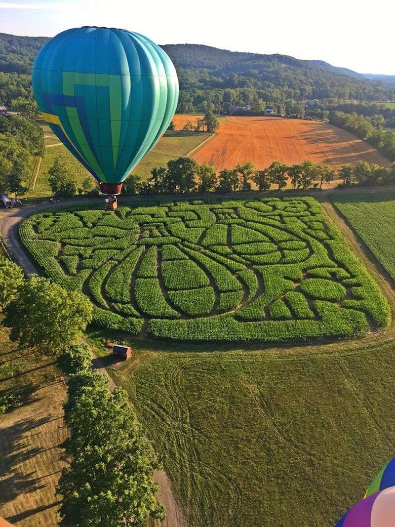 Planning Your Visit: What to Know Before You Go