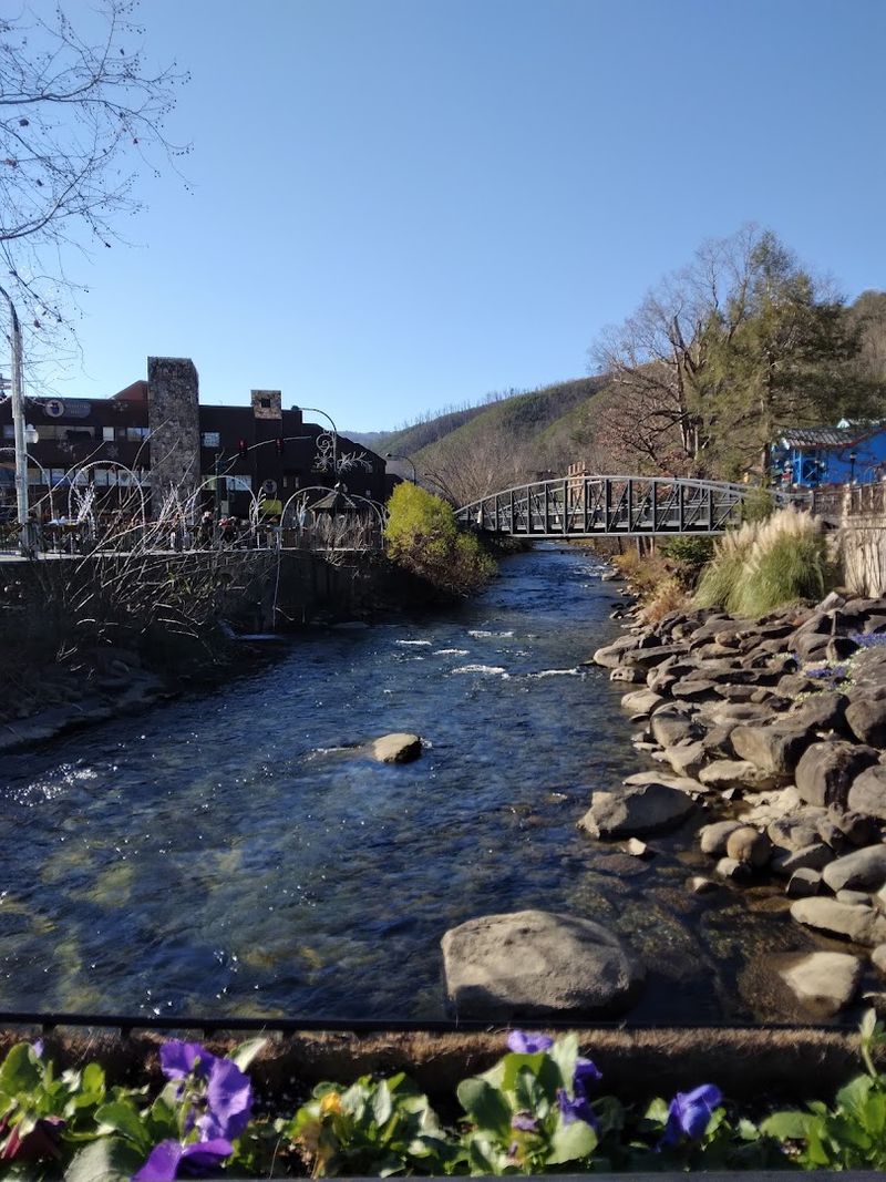 Bent Creek Bistro Texas, Gatlinburg