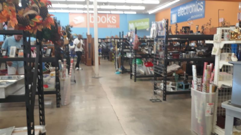 What Actually Ends Up in Those Bins