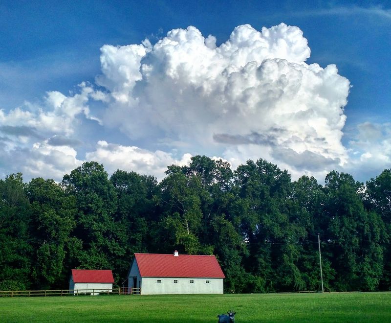 King William County, Virginia, Getting There and What to Expect