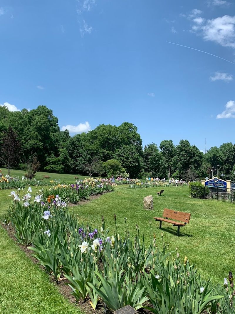 Picnicking on the Hill Above the Garden