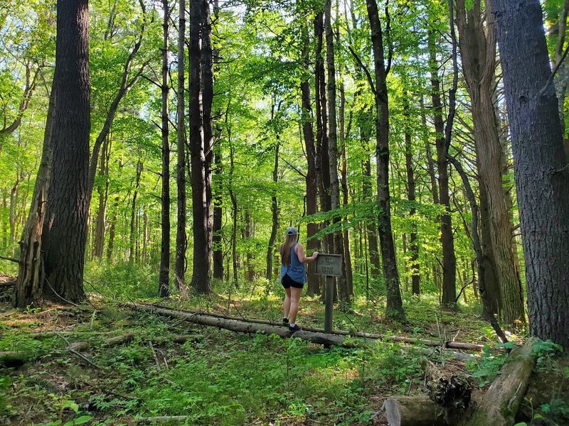 What to Know Before You Hike: Rules and Practical Tips