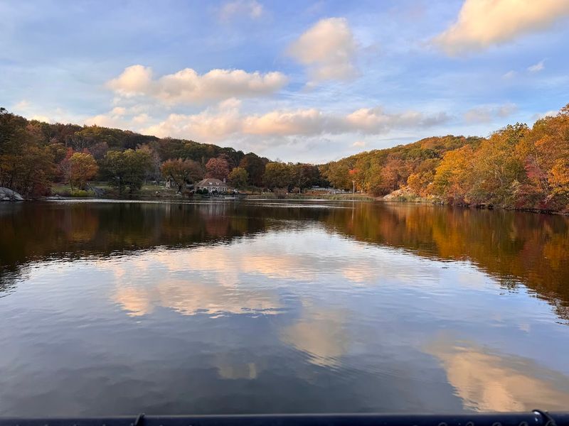 Fishing the Lake: A Surprisingly Rewarding Afternoon