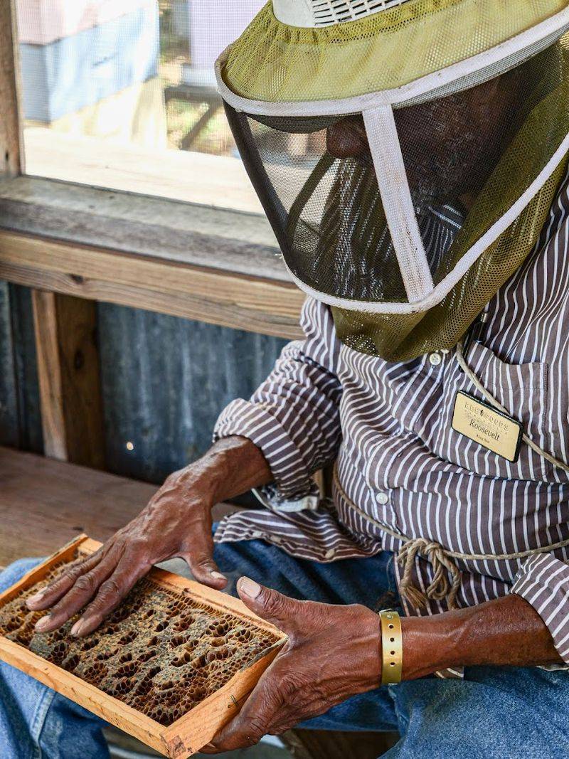 Private Hive Tours for a More Personal Look