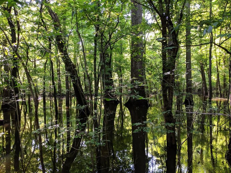 Seasonal Changes Make Every Visit Feel Different