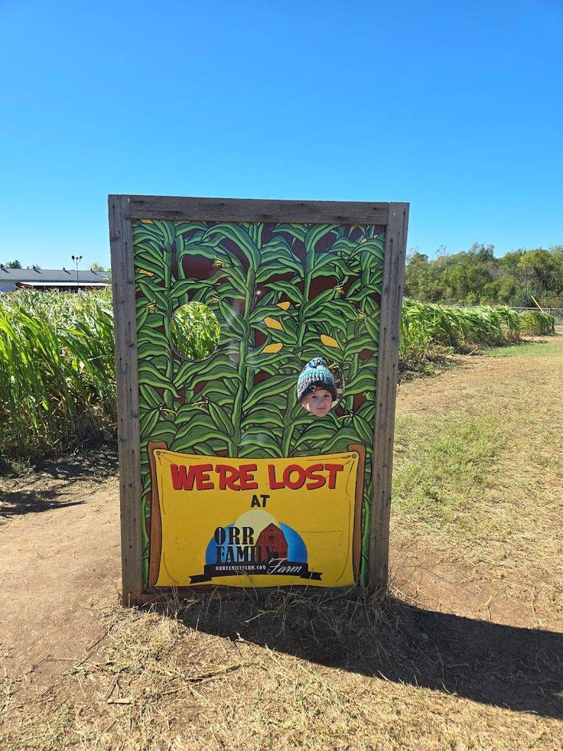 A Corn Maze Takes Itself Seriously