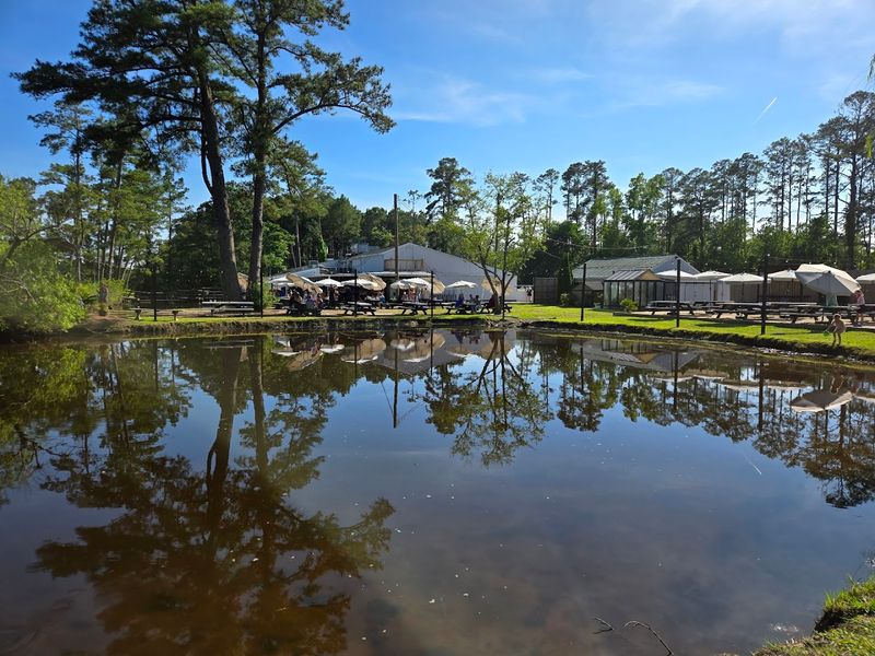 Back Bay Views That Make Every Table Feel Special