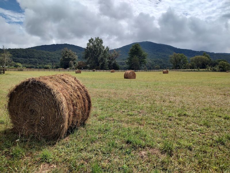 Walton's Mountain Museum: Nelson County's Hollywood Connection