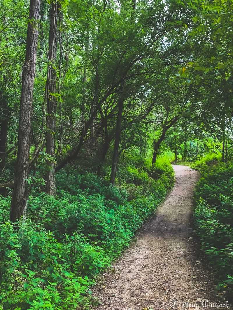 Over 10 Miles Of Well-Maintained Trails For Every Skill Level