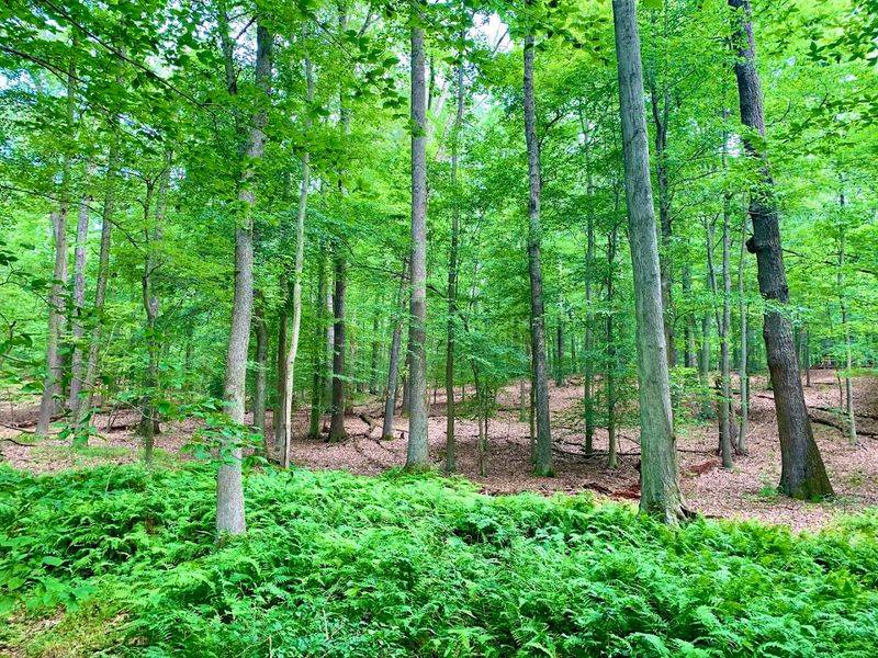 Wildlife Sightings That Catch You Off Guard