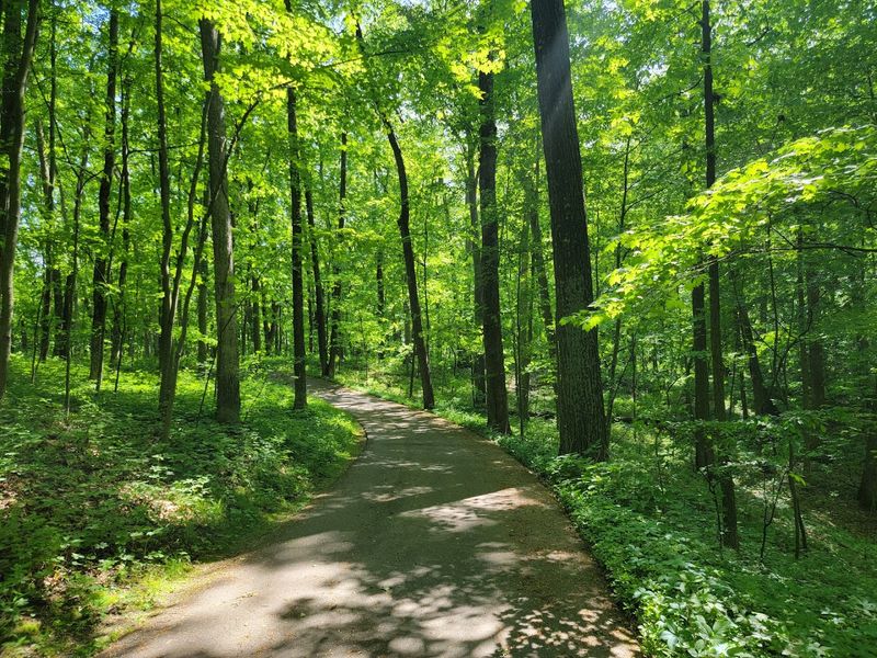 A Self Guided Adventure Under The Silver Moon