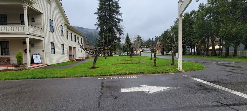 Pet-Friendly Grounds That Travelers Appreciate