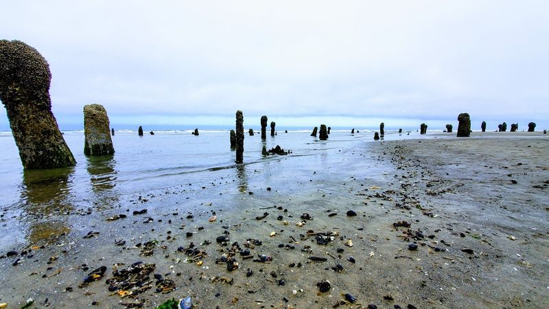 Why Neskowin Beach Deserves a Spot on Your Oregon Coast List