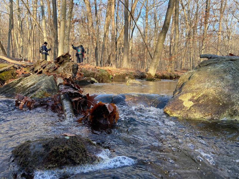 Rocky Terrain and the Physical Thrill of the Climb