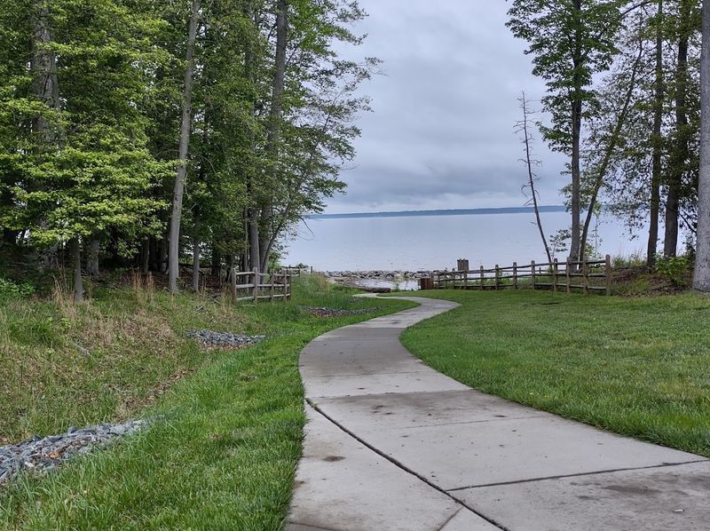 Holly Marsh Trail: The Walk That Will Stop You in Your Tracks