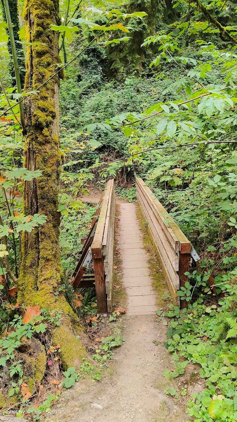 Coal Creek Trail: Five Miles of Forest and Forgotten Industry