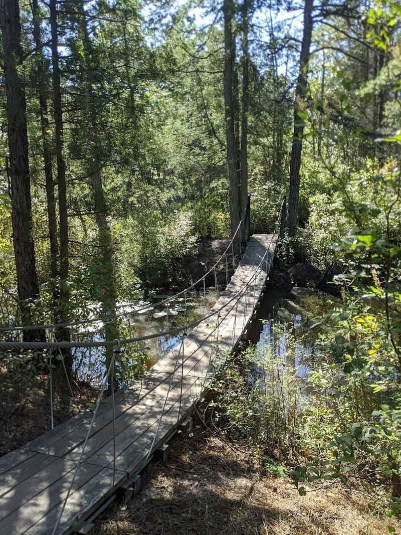 The Suspension Bridge: A Moment You Will Actually Remember