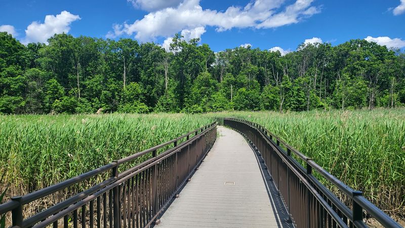 Boardwalk Trails That Put You Directly Over The Marsh