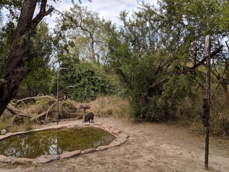 The Visitor Center and Its Famous Feeders