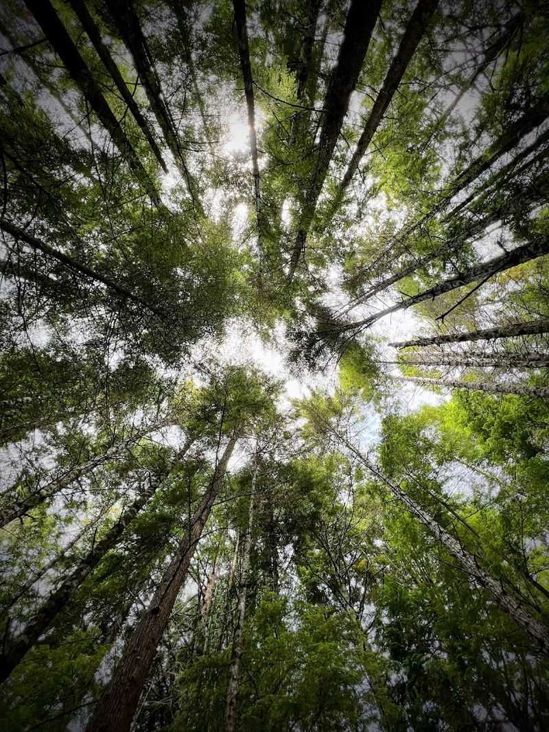 What the Seasons Do to This Place