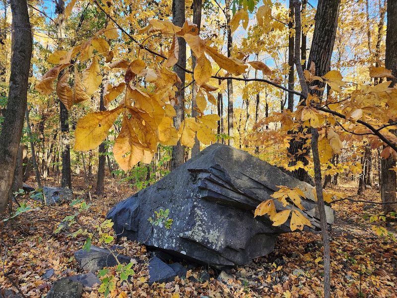 Bouldering for the Adventurous Crowd