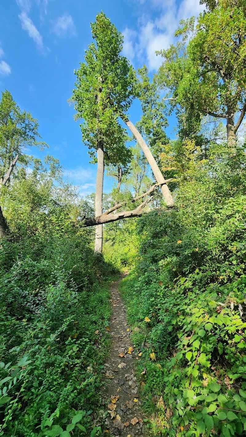 Climbing the Summit Trail from Fiddlers Creek Road