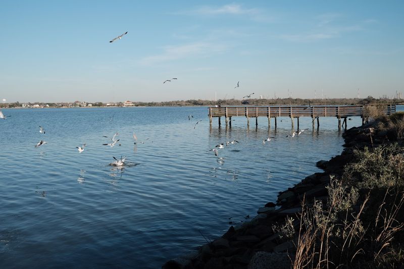 Land That Wouldn't Stay Put: The Subsidence Crisis That Changed Everything
