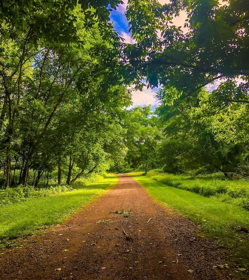 Planning Your Visit to Palmyra Cove Nature Park
