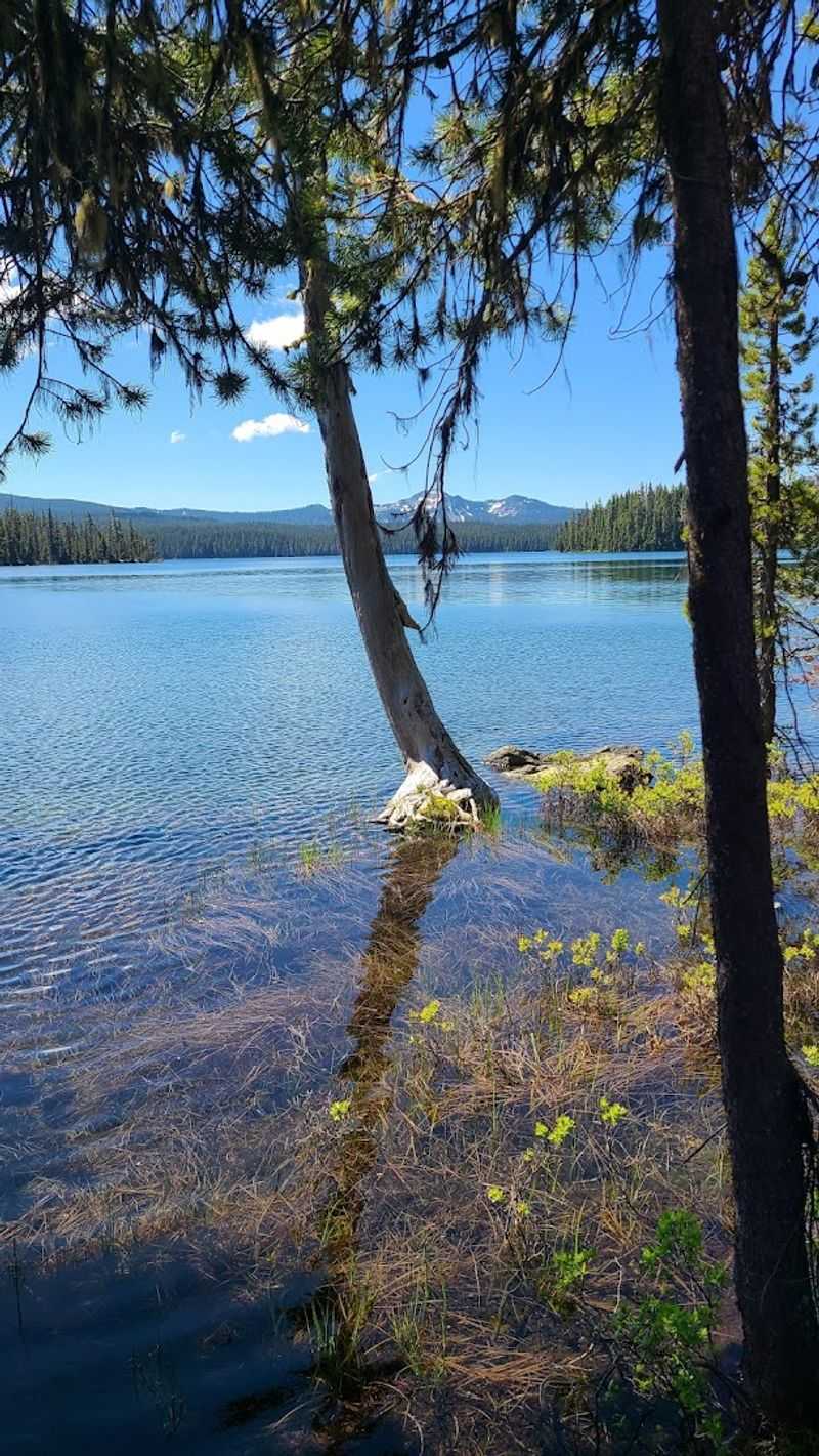 Crystal-Clear Water That Feels Almost Unreal