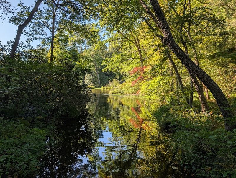 Moggy Hollow: The Glacial Valley That Started It All
