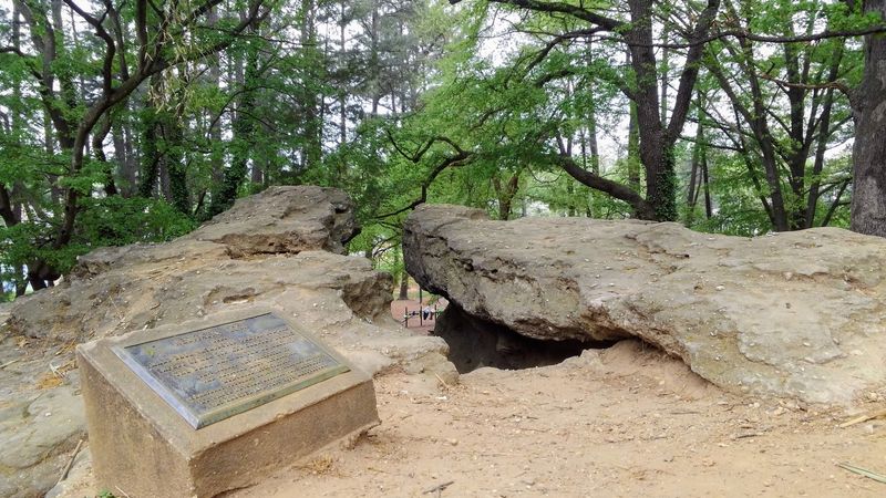 Prayers Over a Revolution: What Mary Was Actually Asking For