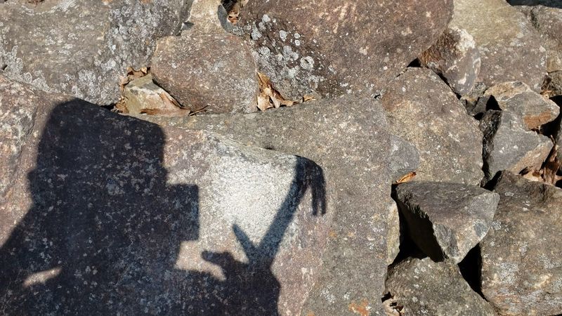 Bring Your Own Hammer To Join The Percussion Section