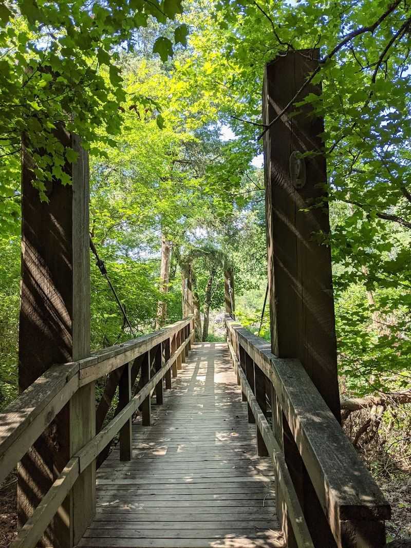 Trails That Bring You Back To The River