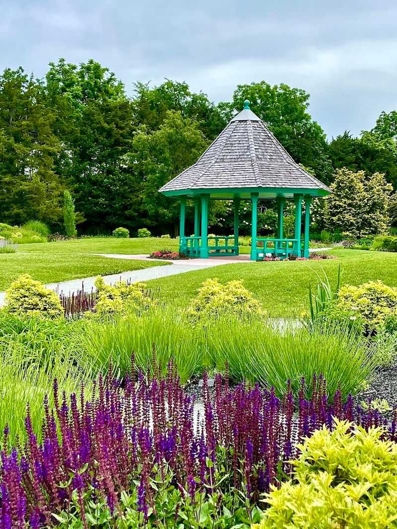 The Fragrance and Sensory Garden: Where Your Nose Leads the Way The Fragrance and Sensory Garden: Where Your Nose Leads the Way