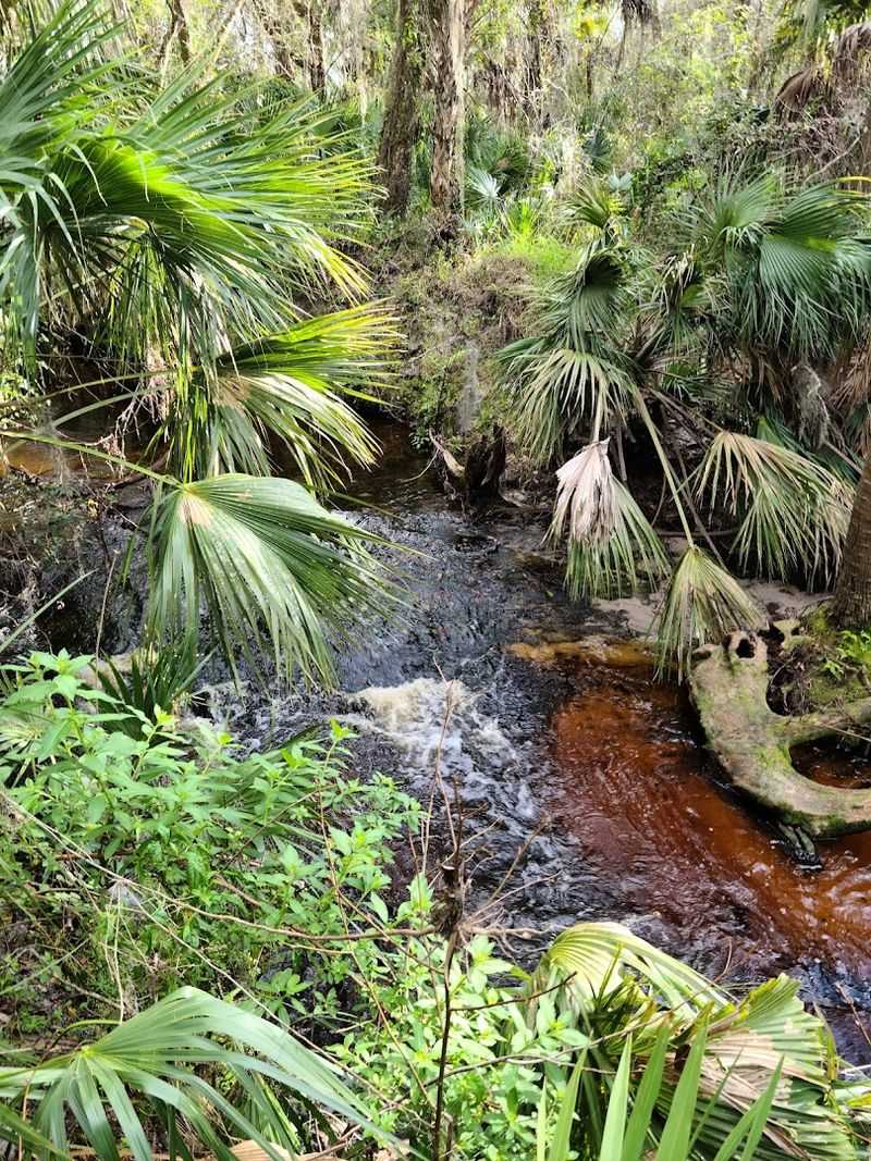 What to Know Before You Go and Where to Explore Nearby