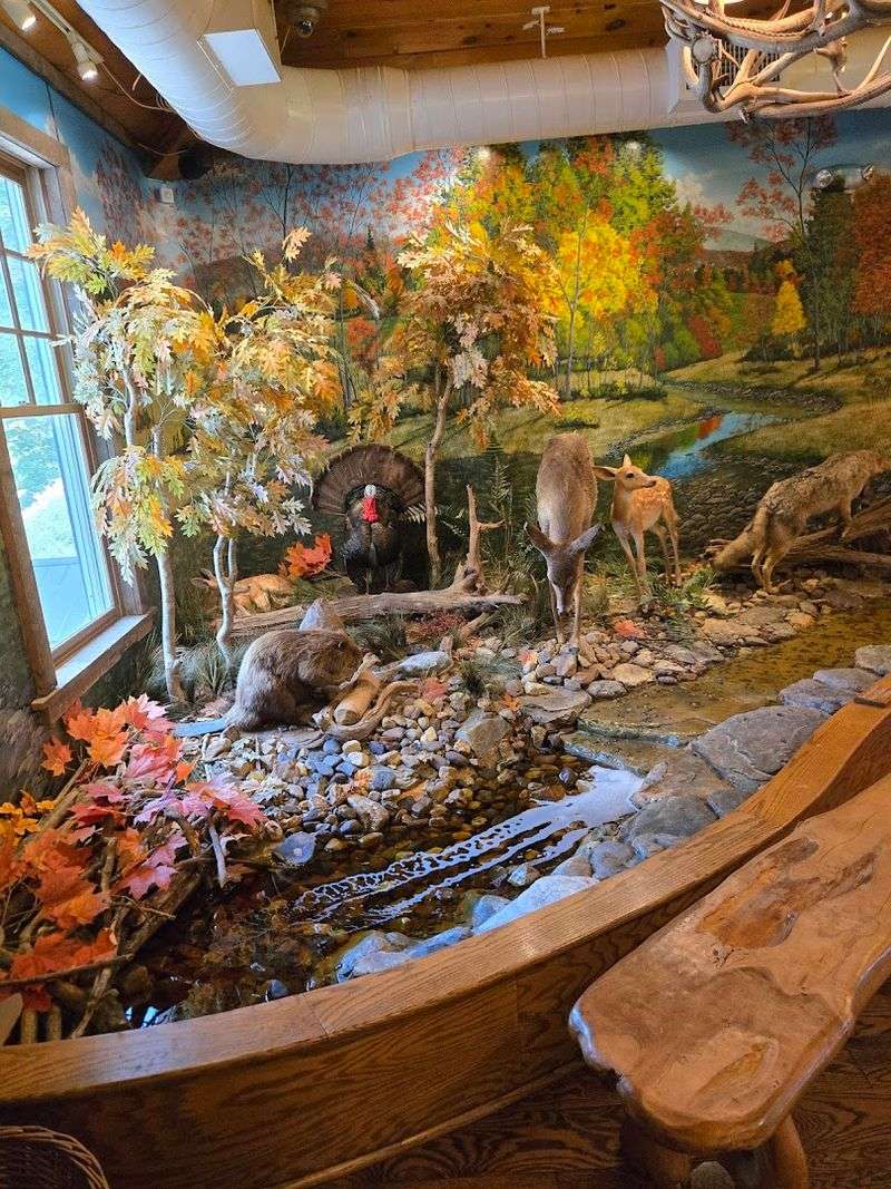 Taxidermy and Wildlife Displays That Genuinely Impress