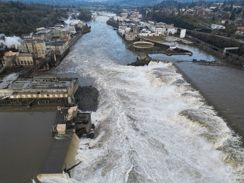 The Sheer Scale of Willamette Falls