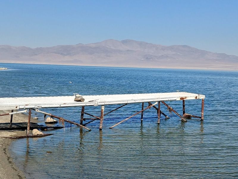 Why The Fishery Took A Major Hit