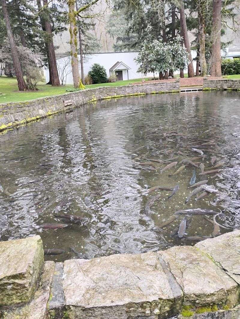 The Gift Shop and Coffee Stop Worth Browsing